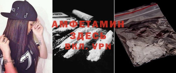 индика Краснотурьинск