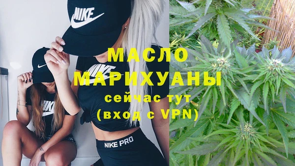 индика Краснотурьинск