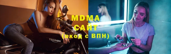 индика Краснотурьинск