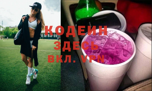 индика Краснотурьинск