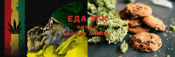 индика Краснотурьинск
