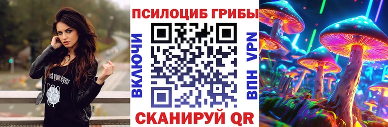 Галлюциногенные грибы мицелий  Купить закладки  Заволжск 